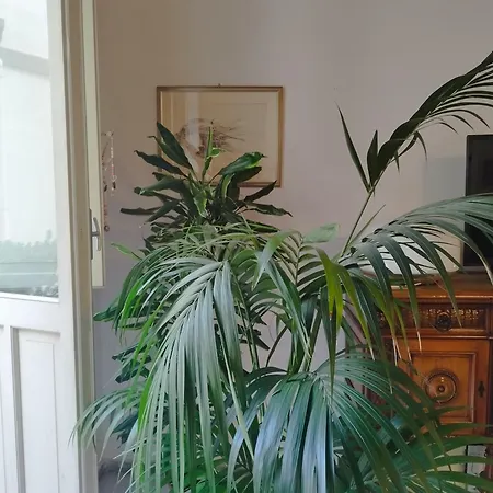 アパート Casa Sanna カリアリ